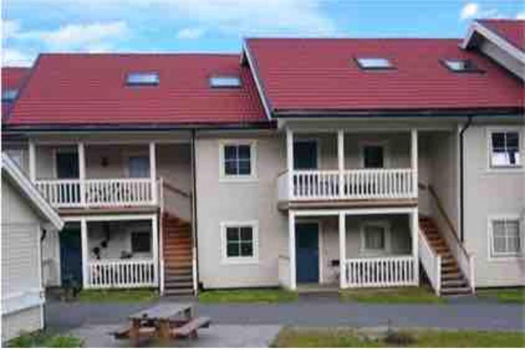 Sleep Well 1 Apartment Kongsberg Exterior foto